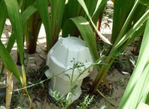 Above-ground Moisture Probe