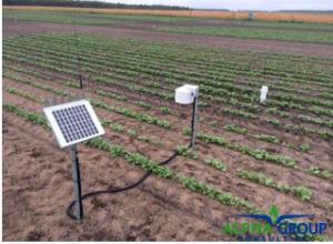 Soil moisture probe and temperature sensor in canola