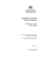Australian Lucerne Yellows Disease -- Pathogen, vector and control