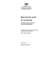 Bacterial Wilt of Lucerne