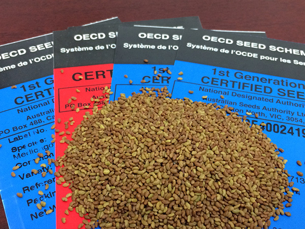 certification certification