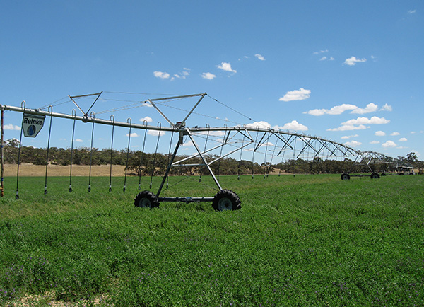 irrigation irrigation